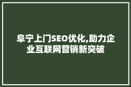 阜宁上门SEO优化,助力企业互联网营销新突破
