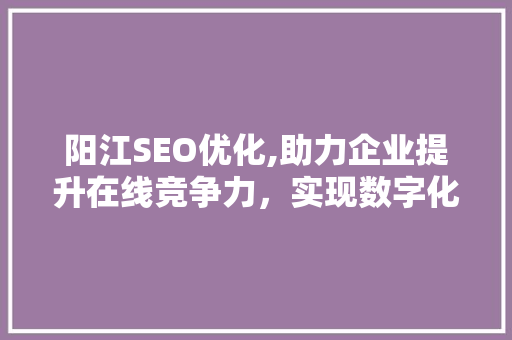 阳江SEO优化,助力企业提升在线竞争力，实现数字化转型