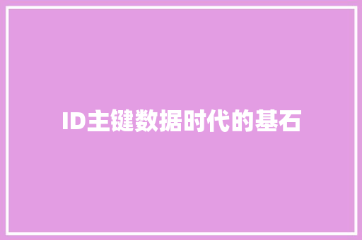 ID主键数据时代的基石  第1张