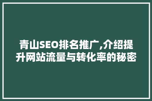 青山SEO排名推广,介绍提升网站流量与转化率的秘密武器