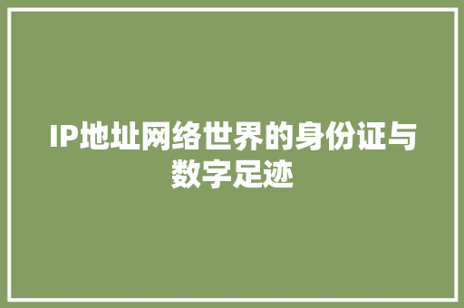 IP地址网络世界的身份证与数字足迹
