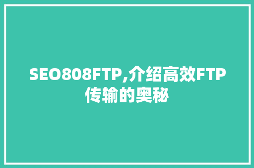 SEO808FTP,介绍高效FTP传输的奥秘
