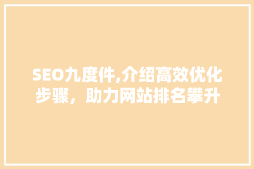SEO九度件,介绍高效优化步骤，助力网站排名攀升