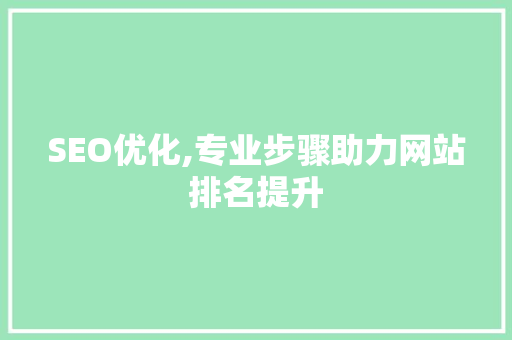 SEO优化,专业步骤助力网站排名提升