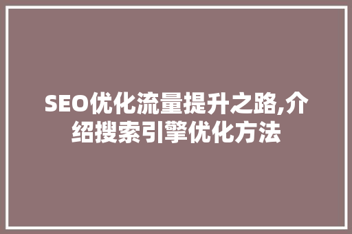 SEO优化流量提升之路,介绍搜索引擎优化方法