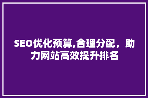 SEO优化预算,合理分配，助力网站高效提升排名