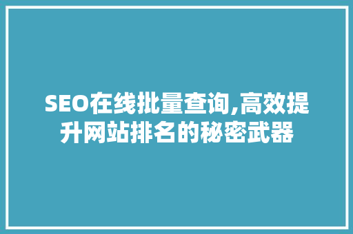 SEO在线批量查询,高效提升网站排名的秘密武器