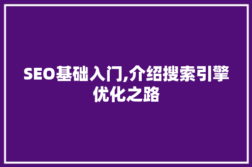 SEO基础入门,介绍搜索引擎优化之路