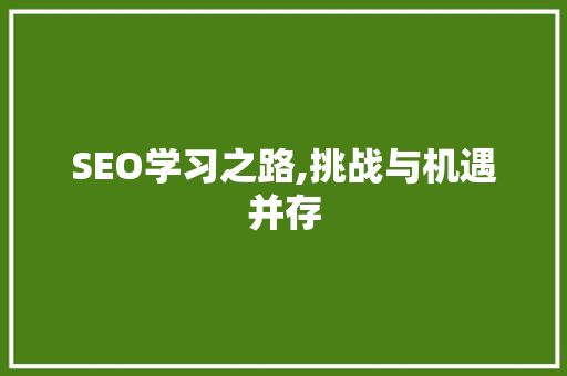 SEO学习之路,挑战与机遇并存