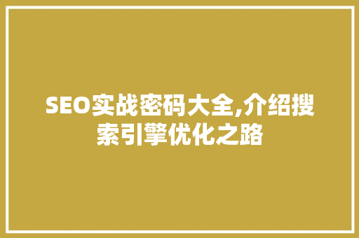 SEO实战密码大全,介绍搜索引擎优化之路