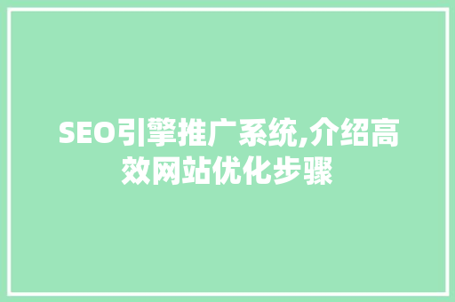 SEO引擎推广系统,介绍高效网站优化步骤