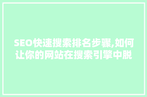 SEO快速搜索排名步骤,如何让你的网站在搜索引擎中脱颖而出