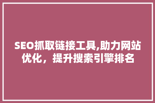 SEO抓取链接工具,助力网站优化，提升搜索引擎排名