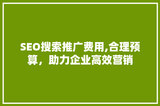 SEO搜索推广费用,合理预算，助力企业高效营销