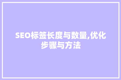 SEO标签长度与数量,优化步骤与方法