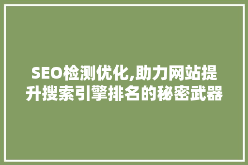 SEO检测优化,助力网站提升搜索引擎排名的秘密武器