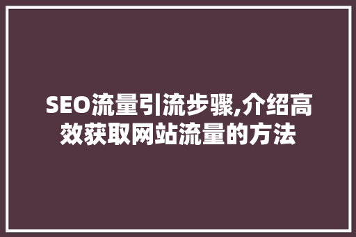 SEO流量引流步骤,介绍高效获取网站流量的方法