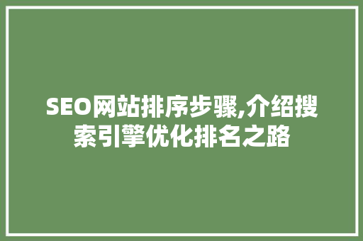 SEO网站排序步骤,介绍搜索引擎优化排名之路
