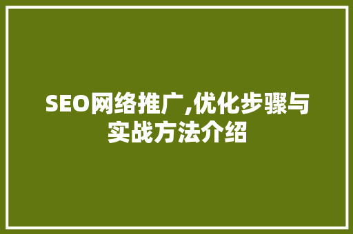 SEO网络推广,优化步骤与实战方法介绍