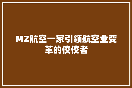MZ航空一家引领航空业变革的佼佼者