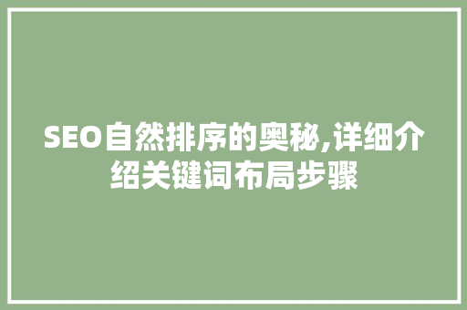 SEO自然排序的奥秘,详细介绍关键词布局步骤