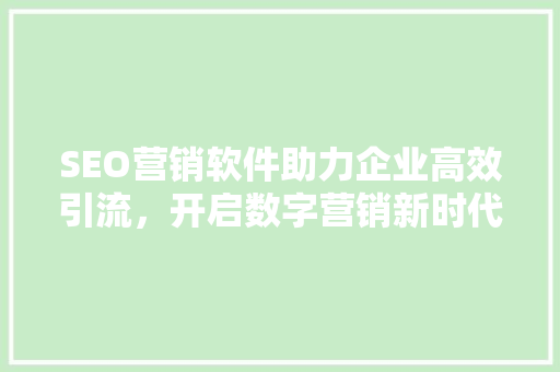 SEO营销软件助力企业高效引流，开启数字营销新时代