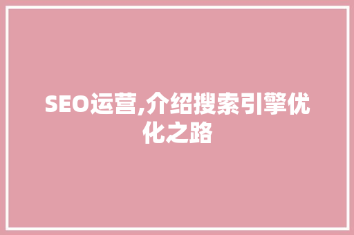 SEO运营,介绍搜索引擎优化之路