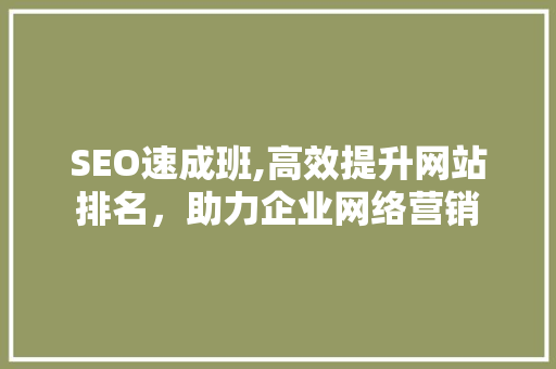 SEO速成班,高效提升网站排名，助力企业网络营销