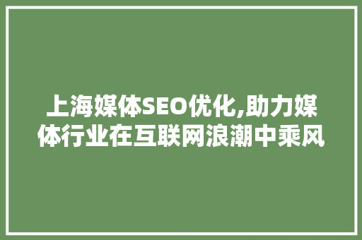 上海媒体SEO优化,助力媒体行业在互联网浪潮中乘风破浪