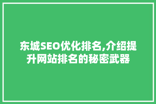 东城SEO优化排名,介绍提升网站排名的秘密武器