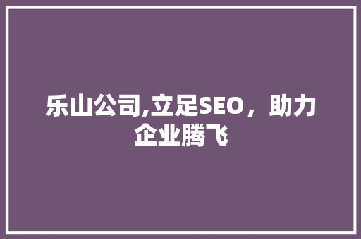 乐山公司,立足SEO，助力企业腾飞