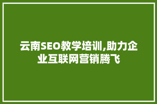 云南SEO教学培训,助力企业互联网营销腾飞