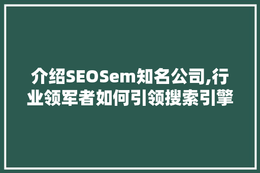 介绍SEOSem知名公司,行业领军者如何引领搜索引擎优化潮流