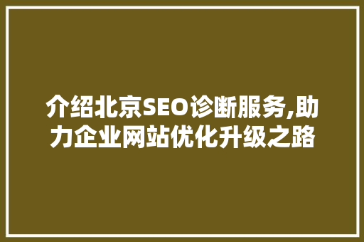 介绍北京SEO诊断服务,助力企业网站优化升级之路