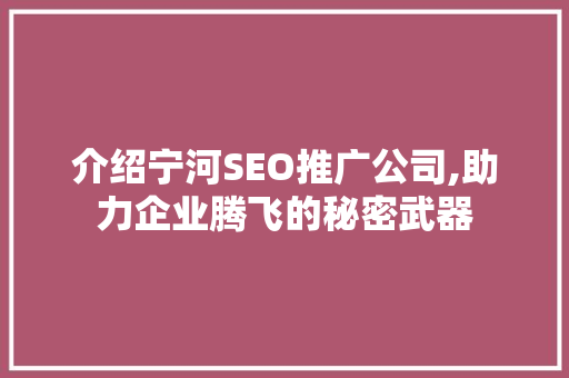 介绍宁河SEO推广公司,助力企业腾飞的秘密武器
