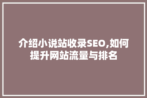 介绍小说站收录SEO,如何提升网站流量与排名