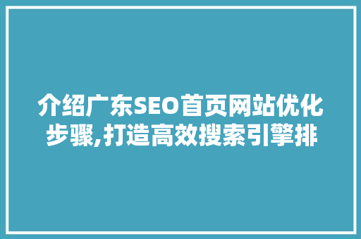 介绍广东SEO首页网站优化步骤,打造高效搜索引擎排名
