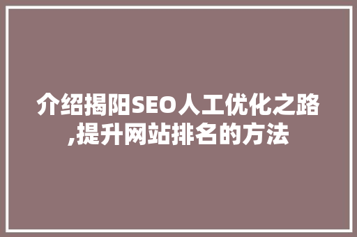 介绍揭阳SEO人工优化之路,提升网站排名的方法