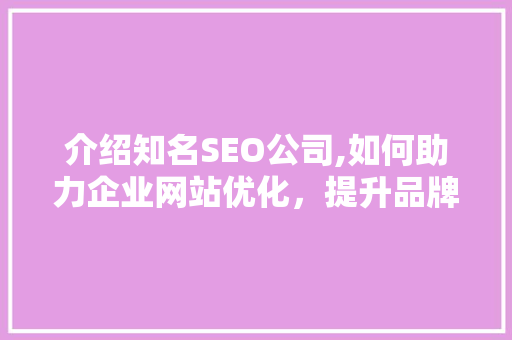 介绍知名SEO公司,如何助力企业网站优化，提升品牌影响力
