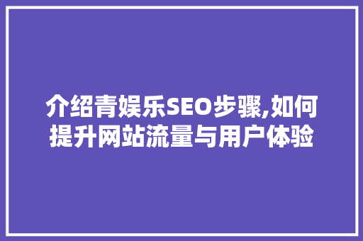 介绍青娱乐SEO步骤,如何提升网站流量与用户体验