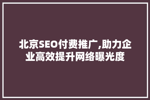 北京SEO付费推广,助力企业高效提升网络曝光度