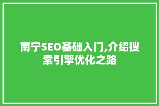 南宁SEO基础入门,介绍搜索引擎优化之路
