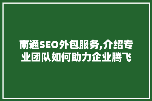 南通SEO外包服务,介绍专业团队如何助力企业腾飞