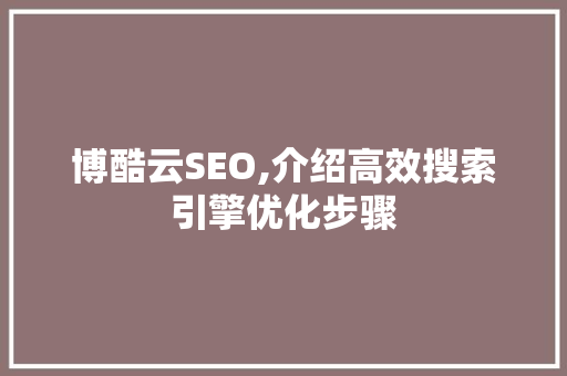博酷云SEO,介绍高效搜索引擎优化步骤