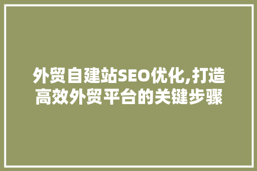 外贸自建站SEO优化,打造高效外贸平台的关键步骤