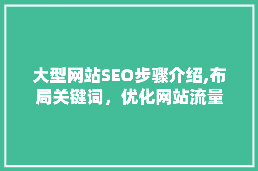 大型网站SEO步骤介绍,布局关键词，优化网站流量