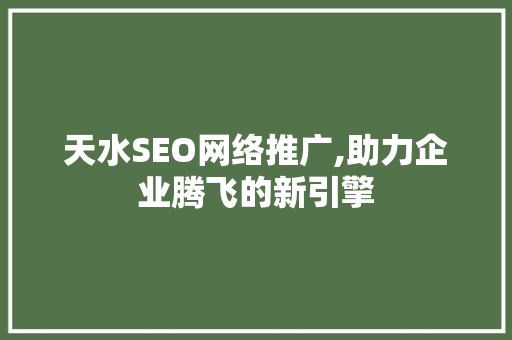 天水SEO网络推广,助力企业腾飞的新引擎