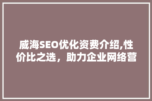 威海SEO优化资费介绍,性价比之选，助力企业网络营销