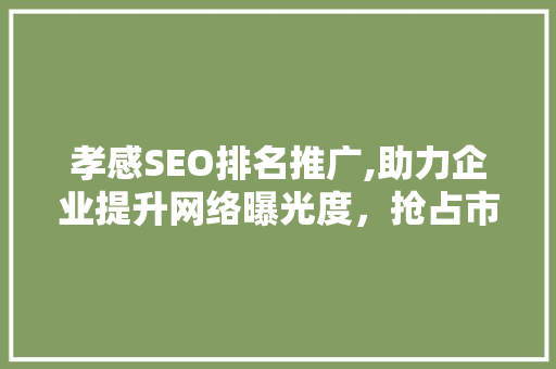 孝感SEO排名推广,助力企业提升网络曝光度，抢占市场先机