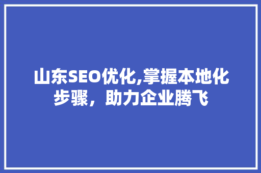 山东SEO优化,掌握本地化步骤，助力企业腾飞